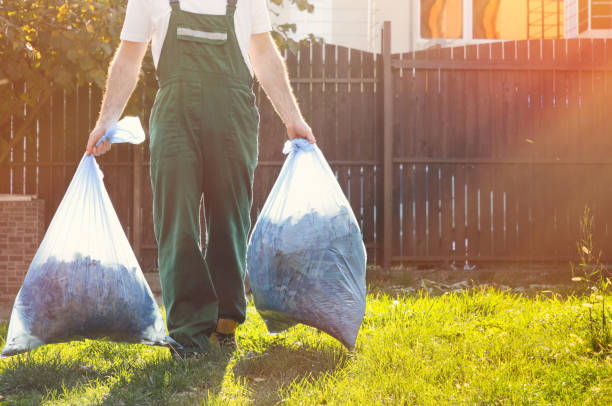 Best Junk Removal for Businesses  in Blountville, TN